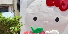 杭州女大